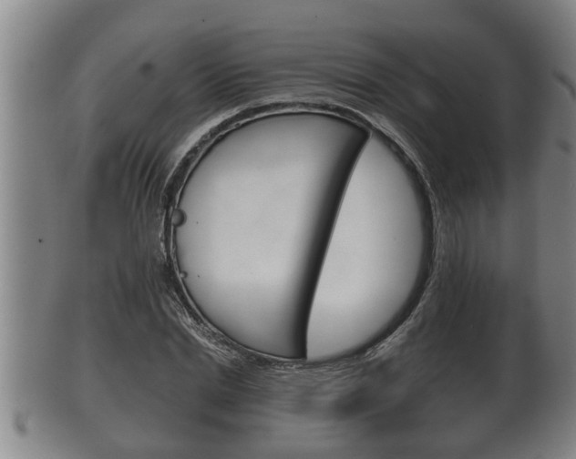 X0000100370830200806060800