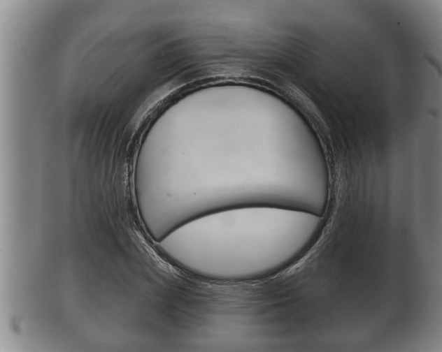 X0000100370831200806060800