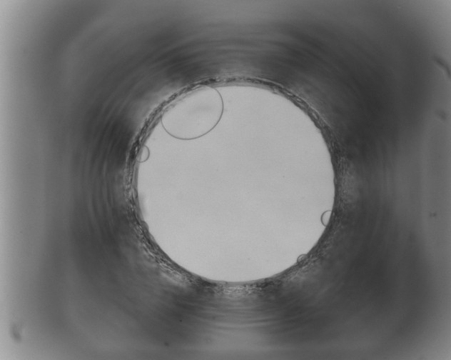 X0000100370832200806060800