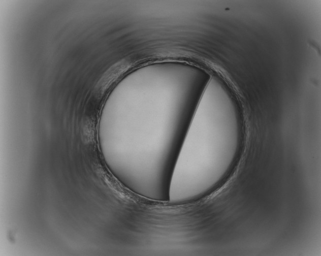 X0000100370833200806060800