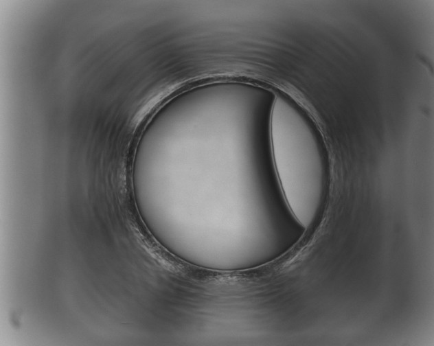 X0000100370834200806060800
