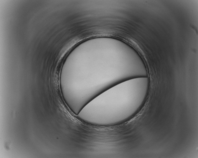 X0000100370835200806060800