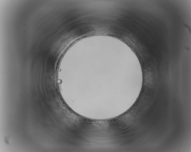 X0000100370836200806060800