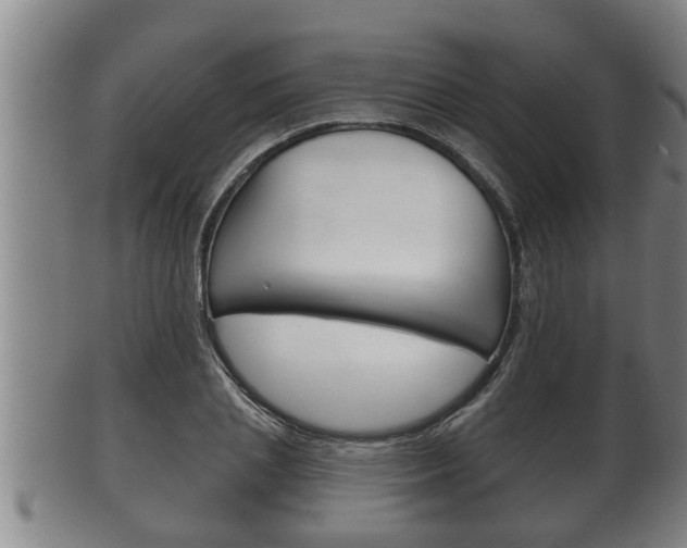 X0000100370837200806060800