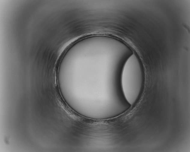 X0000100370838200806060800