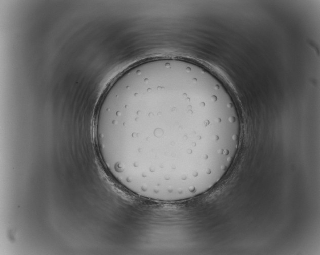 X0000100370839200806060800