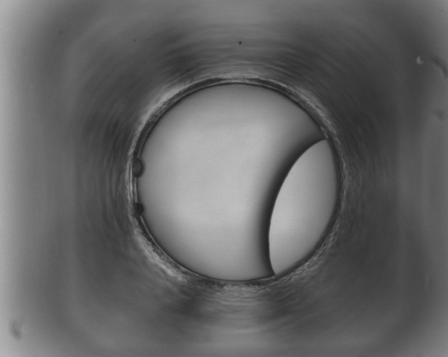 X0000100370840200806060800
