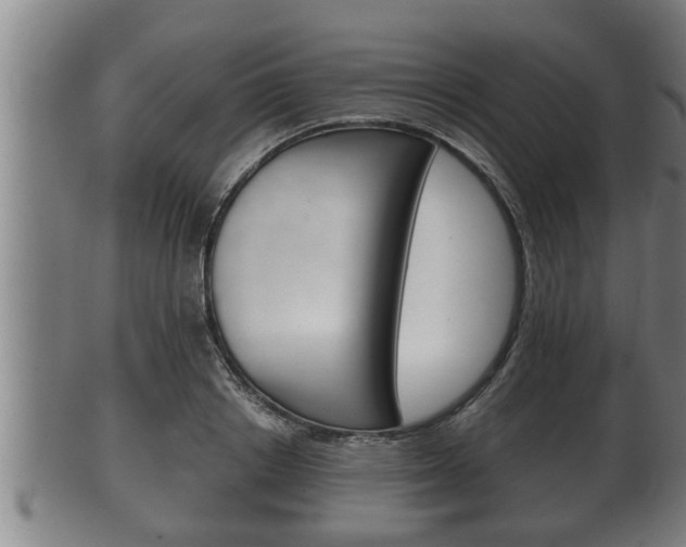 X0000100370842200806060800