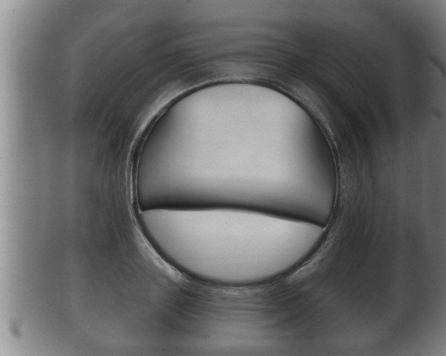 X0000100370843200806060800