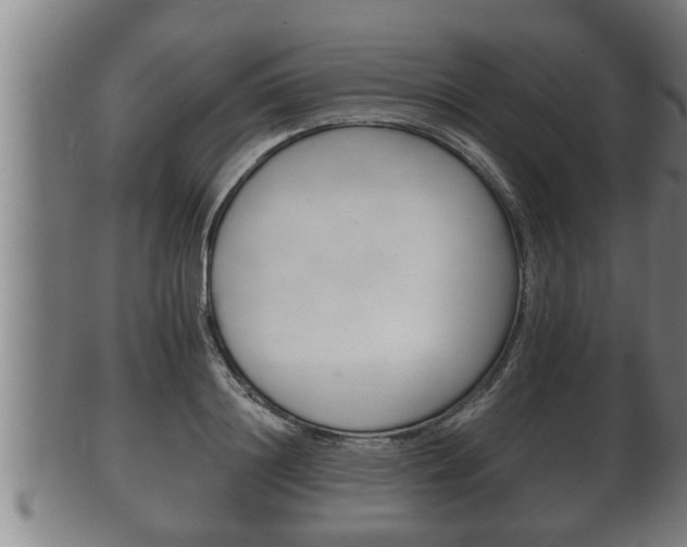 X0000100370844200806060800