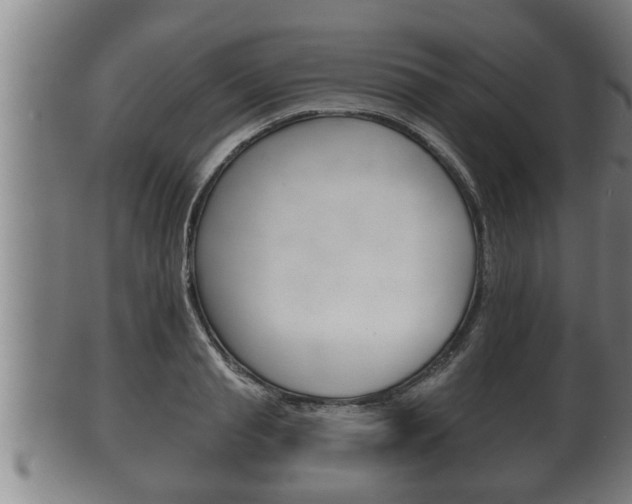 X0000100370845200806060800