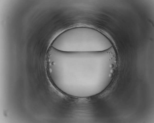X0000100370847200806060800