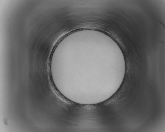 X0000100370848200806060800
