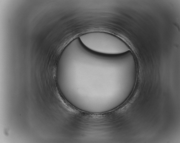 X0000100370849200806060800