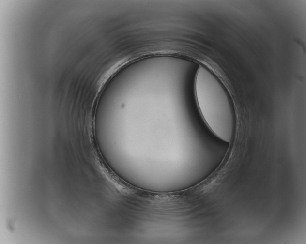 X0000100370850200806060800