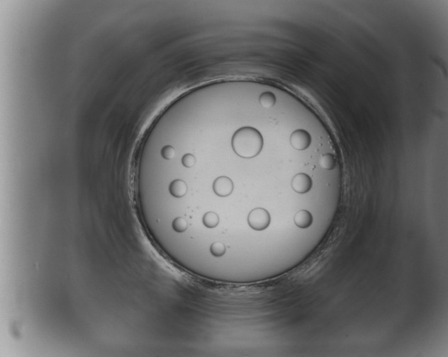 X0000100370851200806060800