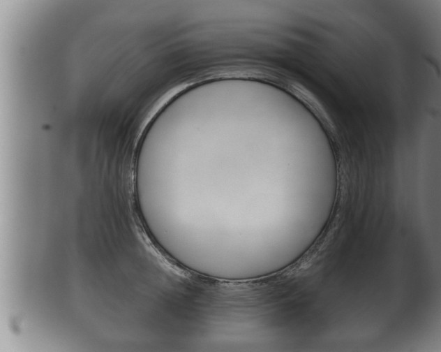 X0000100370852200806060800
