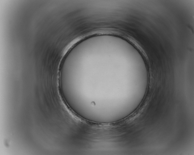 X0000100370853200806060800