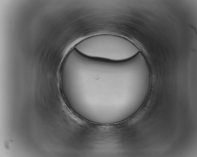 X0000100370854200806060800