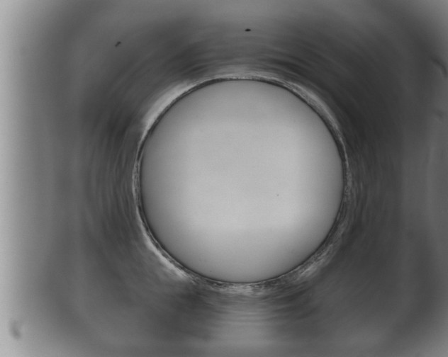 X0000100370855200806060800