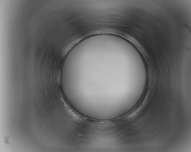 X0000100370857200806060800