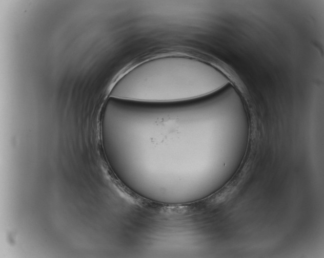 X0000100370858200806060800