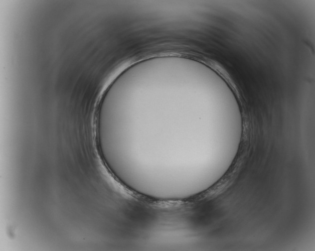 X0000100370859200806060800