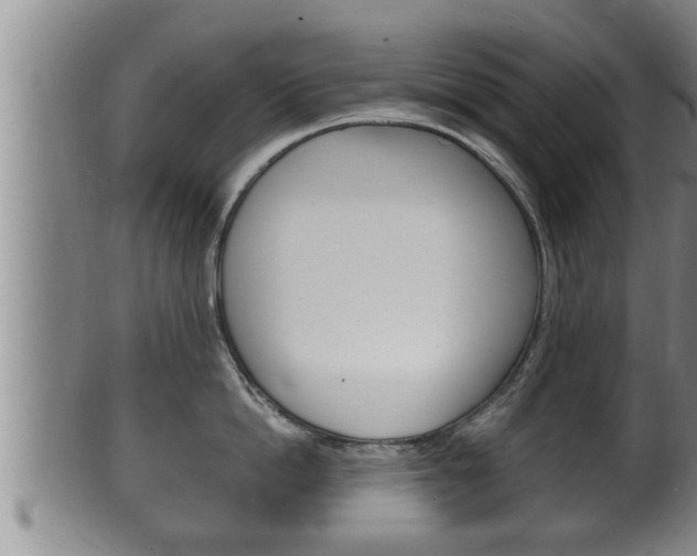 X0000100370862200806060800