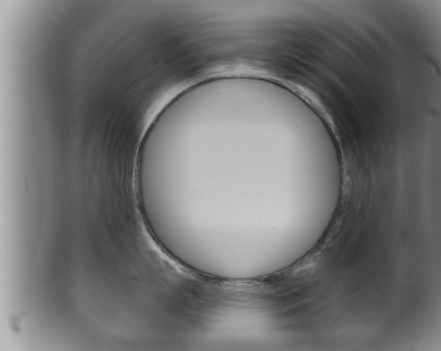X0000100370863200806060800