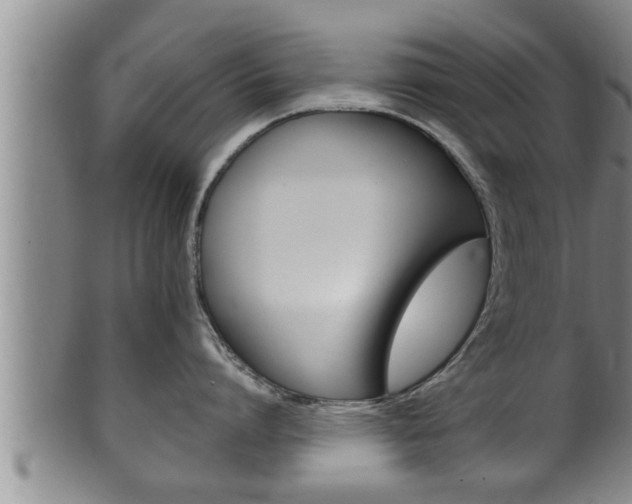 X0000100370864200806060800
