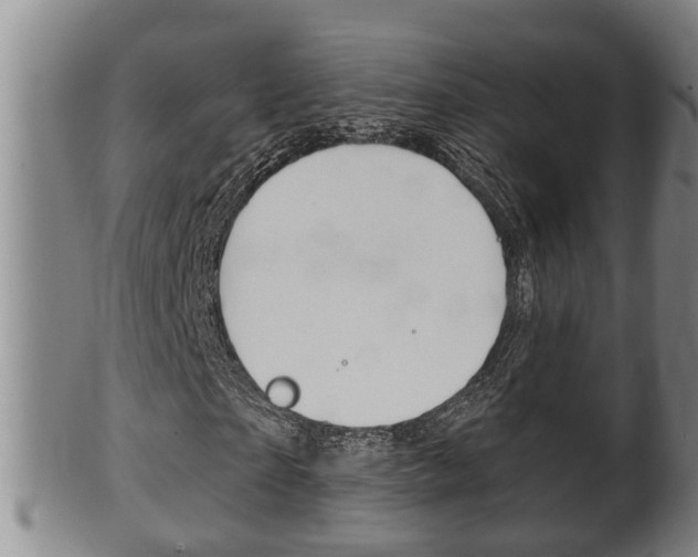 X0000100370865200806060800
