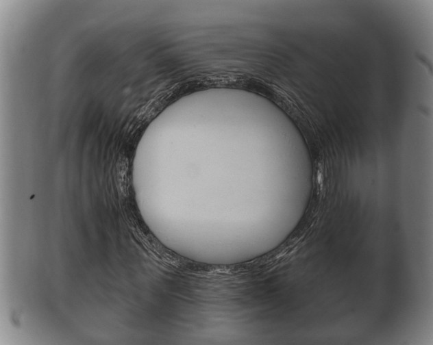 X0000100370867200806060800