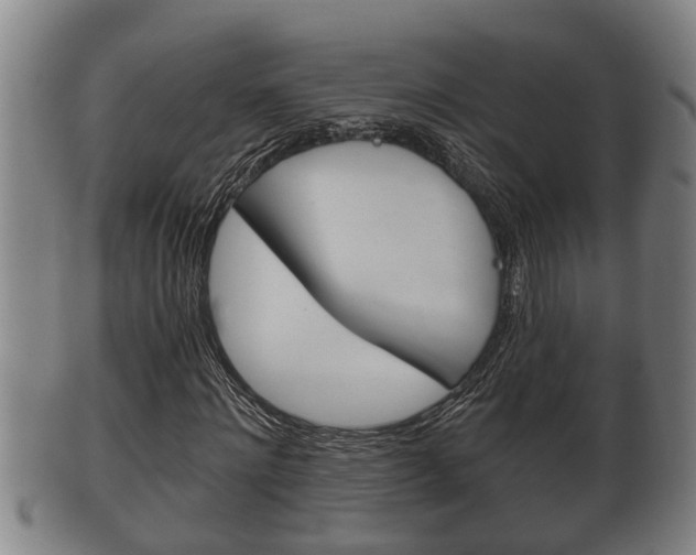 X0000100370868200806060800