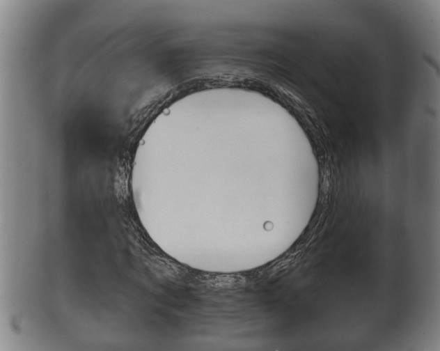 X0000100370869200806060800