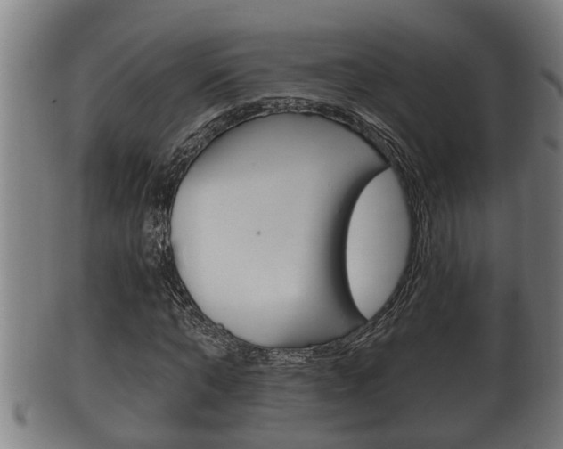 X0000100370870200806060800