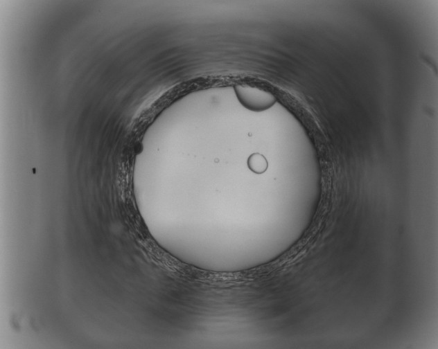 X0000100370871200806060800