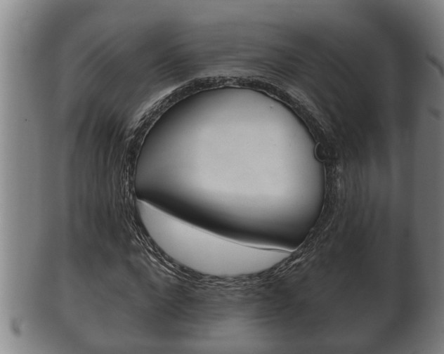 X0000100370872200806060800