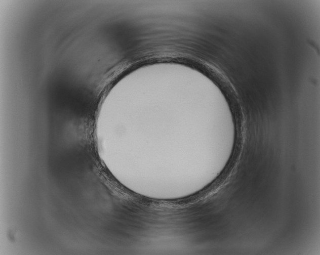 X0000100370873200806060800