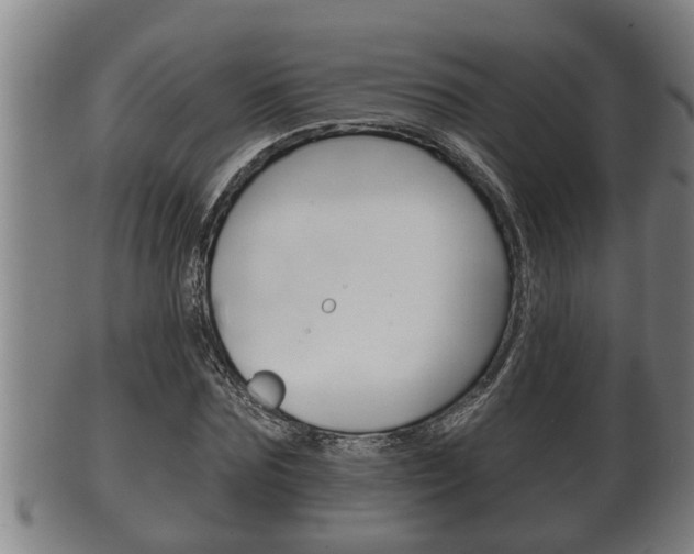 X0000100370875200806060759
