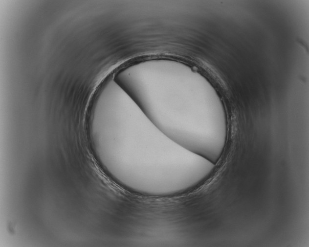 X0000100370876200806060759