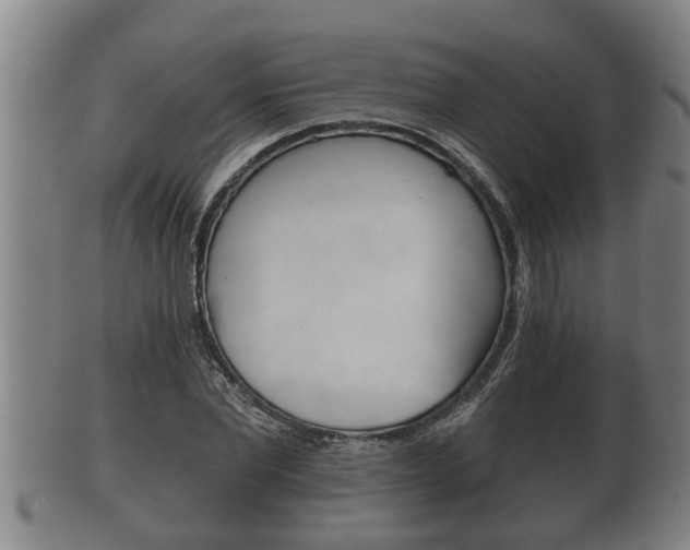 X0000100370877200806060759
