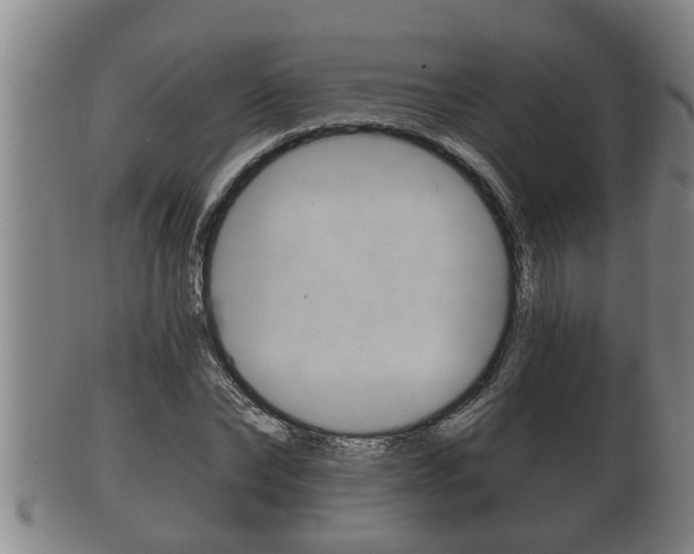 X0000100370878200806060759