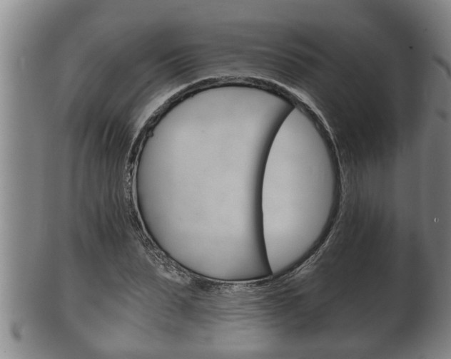 X0000100370879200806060759