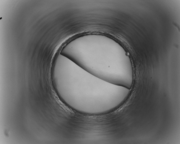 X0000100370880200806060759