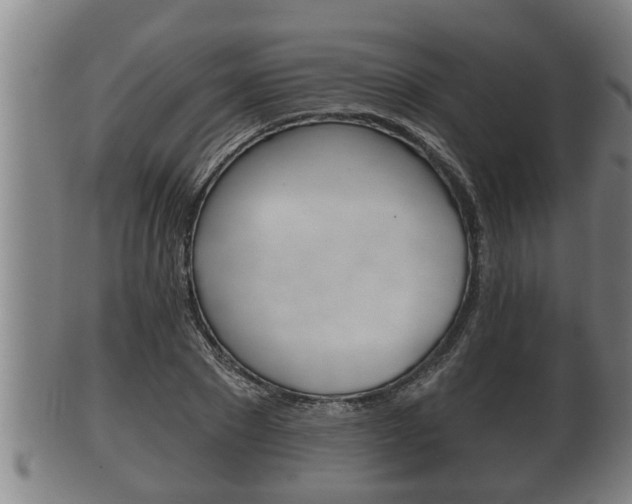 X0000100370881200806060759