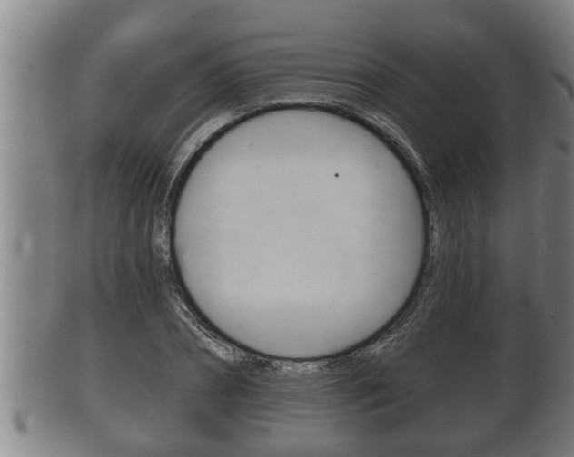 X0000100370882200806060759