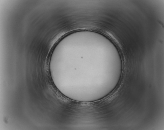 X0000100370883200806060759