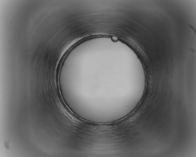 X0000100370884200806060759