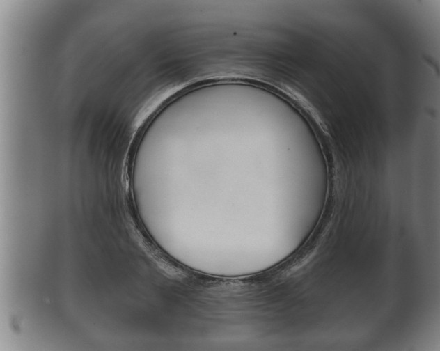 X0000100370885200806060759