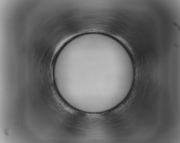 X0000100370886200806060759